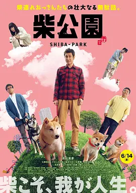 香蕉视频污app