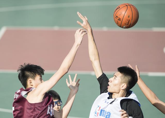 久久久久久久岛国免费网站