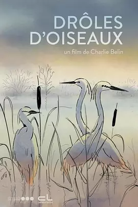 高清视频一区二区三区四区