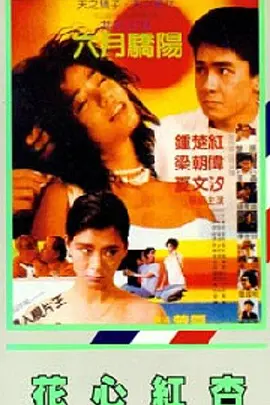 免费拍拍拍