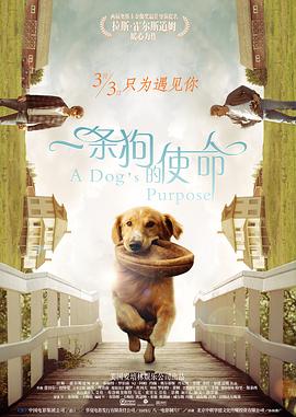 灌醉直男chinesegay