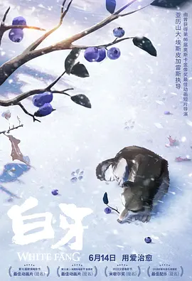 第二名的逆袭 电视剧