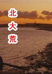 美女视频免费精品