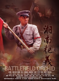 大陆性生活片