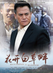 日本乱轮片