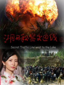 美丽的图书馆馆长