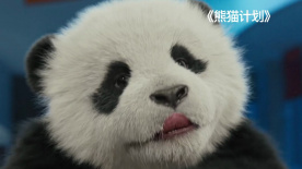 老司机精品视频一区二区