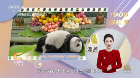 婷婷综合国产激情在线